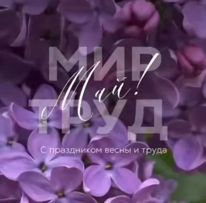 80 открыток на 1 мая 2025