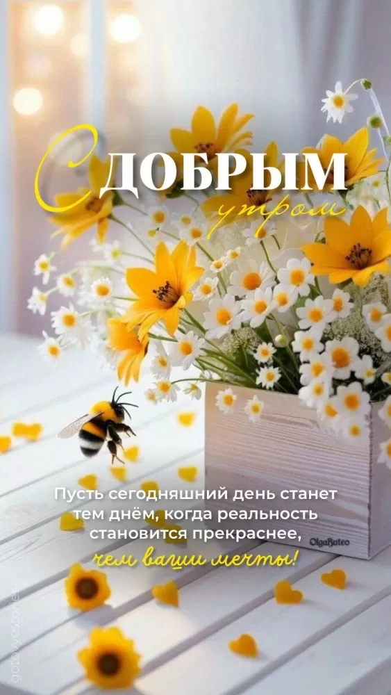 Картинки с Добрым летним утром. Красивые картинки Доброе летнее утро