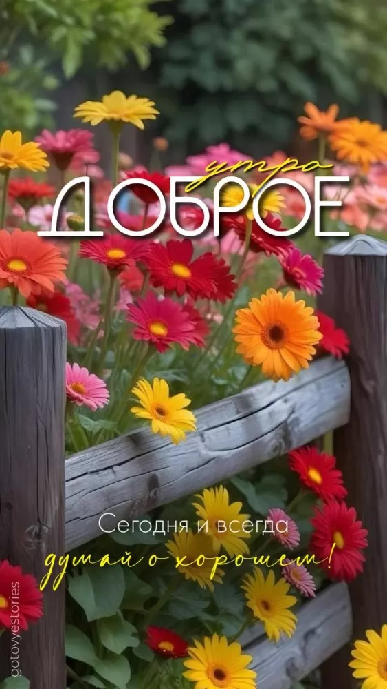 Картинки с Добрым летним утром. Красивые картинки Доброе летнее утро