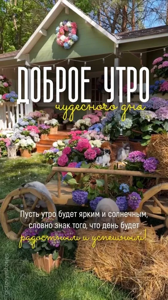 Картинки с Добрым летним утром. Красивые картинки Доброе летнее утро