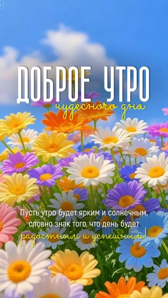 Картинки с Добрым летним утром. Красивые картинки Доброе летнее утро