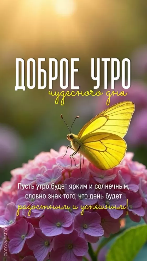 Картинки с Добрым летним утром. Красивые картинки Доброе летнее утро