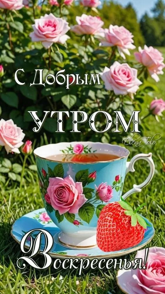 Картинки с Добрым утром воскресенья. Красивые картинки с Добрым утром воскресенья