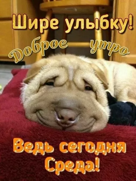 Картинки Доброе утро среды (60 открыток). Прикольные картинки Доброе утро среда