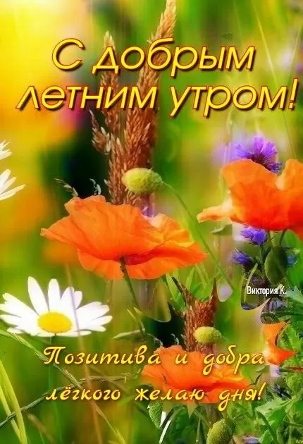 Открытки Доброе июльское утро (80 картинок). Красивые картинки Доброе июльское утро