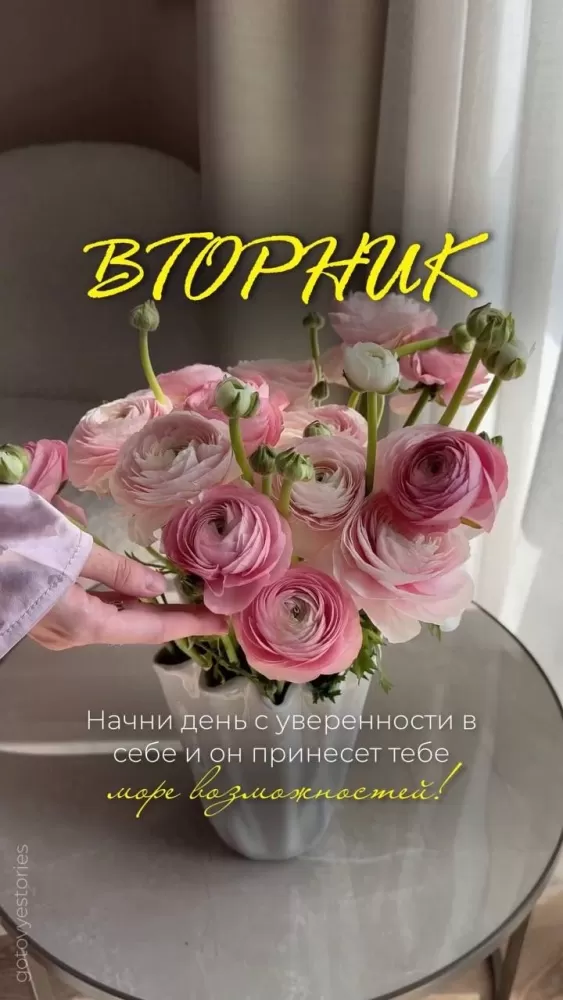 Картинки Доброе утро вторника. Картинки "Доброе утро вторника"