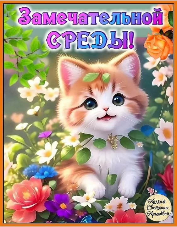 Картинки Доброе утро среды (60 открыток). Прикольные картинки Доброе утро среда