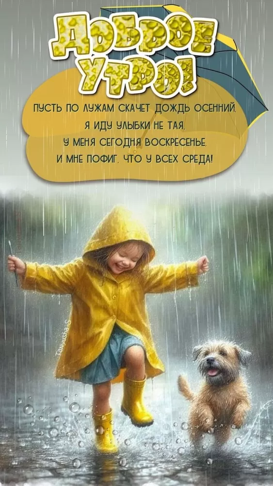 Картинки Доброе утро среды (60 открыток). Доброе утро среды - картинки с пожеланиями