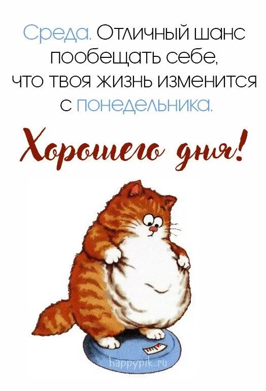 Картинки Доброе утро среды (60 открыток). Прикольные картинки Доброе утро среда