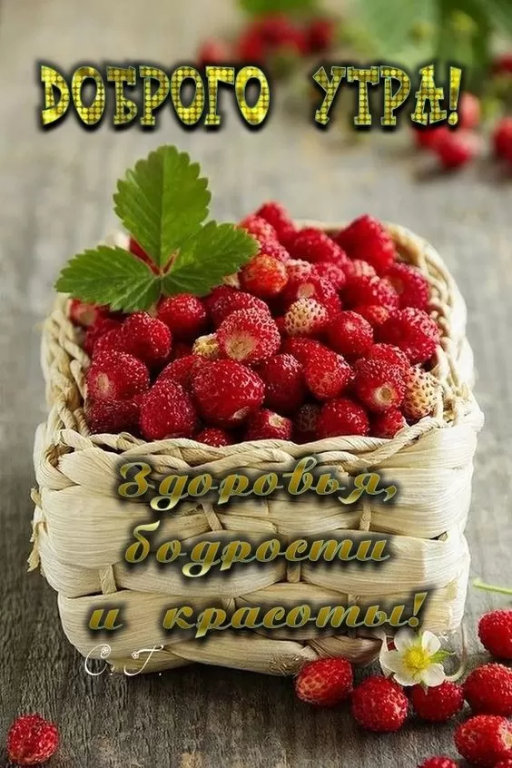 Открытки Доброе июльское утро (80 картинок). Доброе летнее утро - картинки с пожеланиями