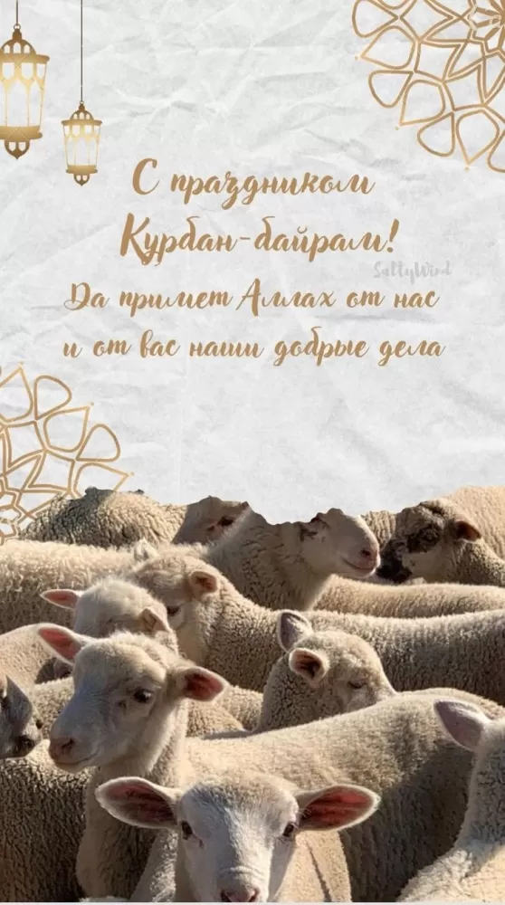 Красивые открытки с Курбан-Байрам . Красивые открытки с Курбан-Байрам