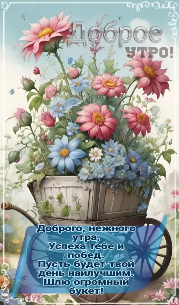 Открытки Доброе июльское утро (80 картинок). Доброе летнее утро - картинки с пожеланиями