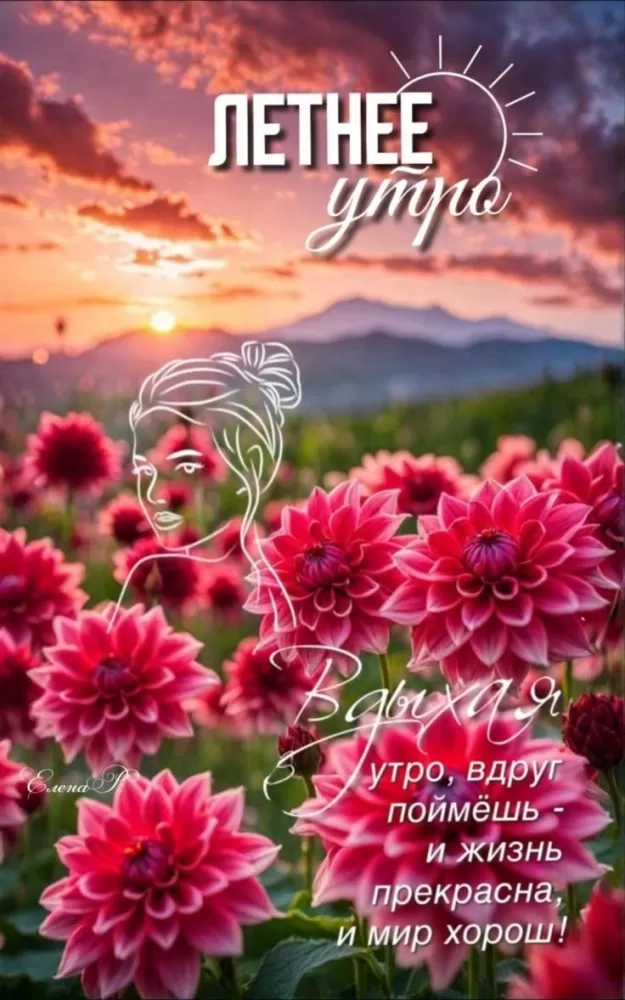 Открытки Доброе июльское утро (80 картинок). Доброе летнее утро - картинки с пожеланиями