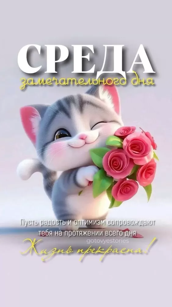 Картинки Доброе утро среды (60 открыток). Доброе утро среды - картинки с пожеланиями