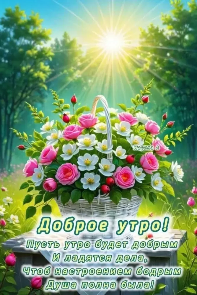 Картинки "Доброе утро" с цветами. Доброе утро - красивые картинки с цветами