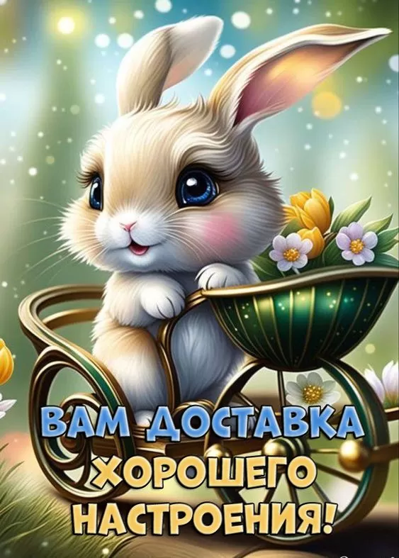 Прикольные и позитивные картинки для настроения. Прикольные и позитивные картинки