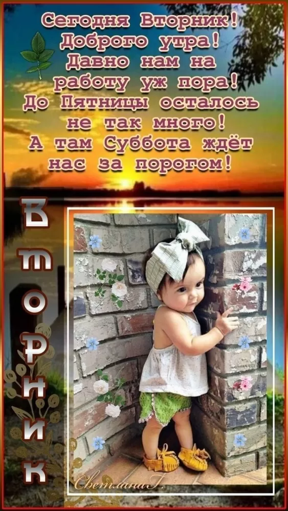 Картинки Доброе утро вторника. Доброе утро вторника - картинки красивые и прикольные