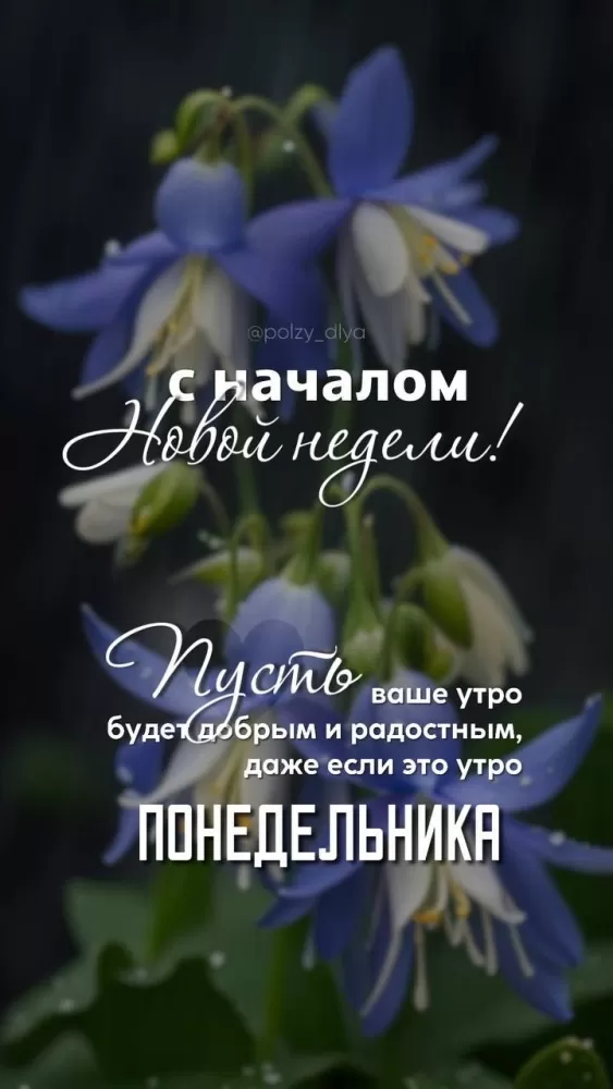 Картинки "Доброе утро понедельника". Доброе утро понедельника - картинки летние