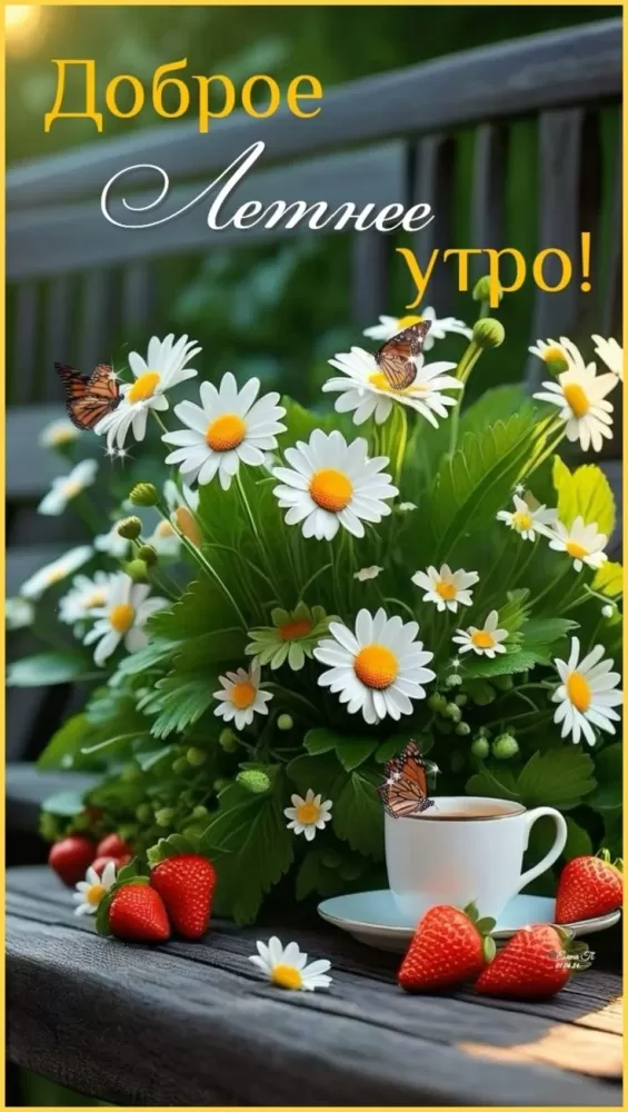 Картинки "Доброе утро" с цветами. Доброе утро - красивые картинки с цветами