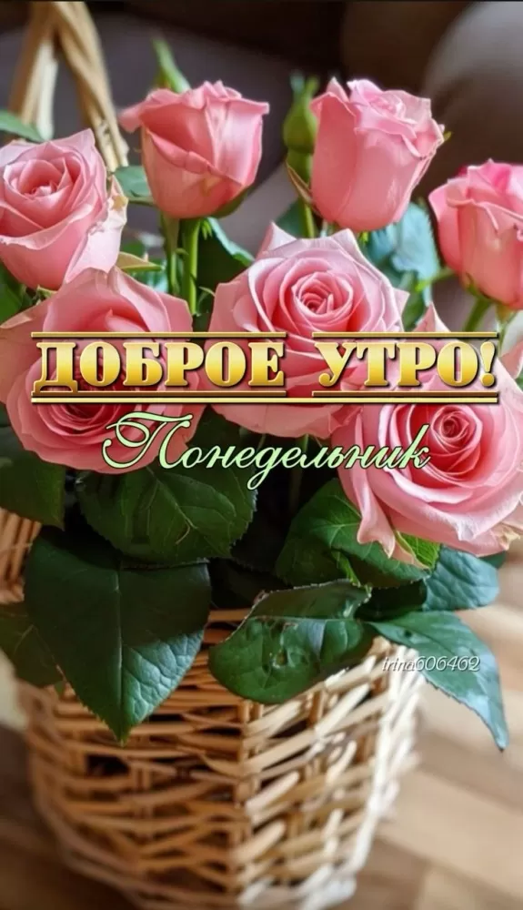 Картинки "Доброе утро понедельника". Доброе утро понедельника - картинки летние