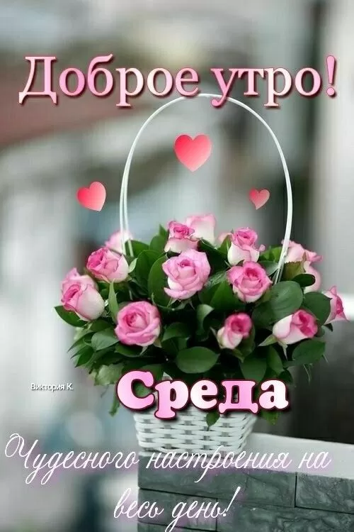 Картинки Доброе утро среды (60 открыток). Красивые картинки Доброе утро среды