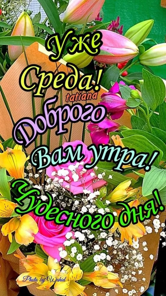 Картинки Доброе утро среды (60 открыток). Доброе утро среды - картинки с пожеланиями