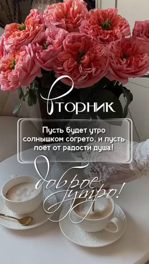 Картинки Доброе утро вторника