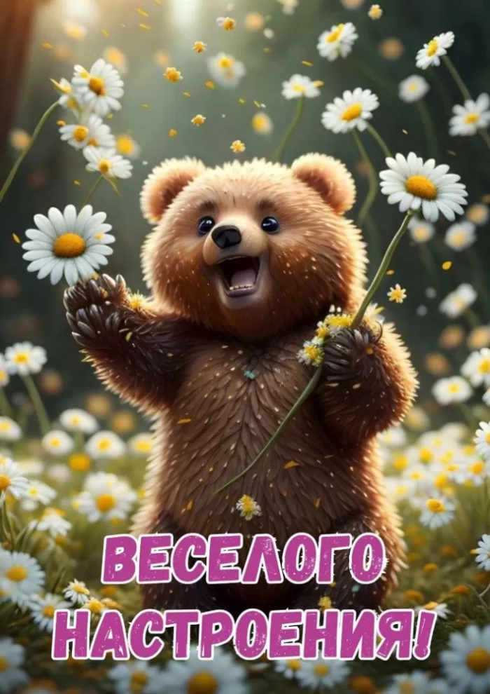 Прикольные и позитивные картинки для настроения. Прикольные и позитивные картинки