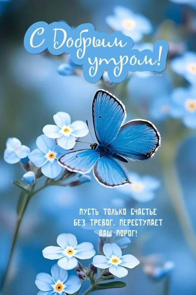 Картинки "Доброе утро" с цветами. Доброе утро - красивые картинки с цветами