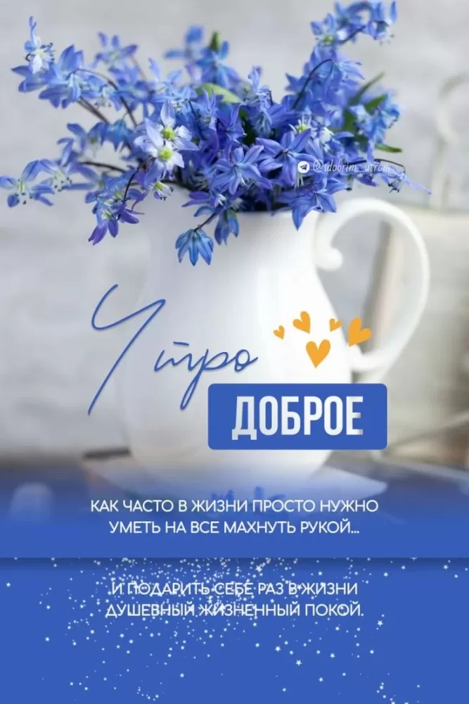 Картинки "Доброе утро" с цветами. Доброе утро - красивые картинки с цветами