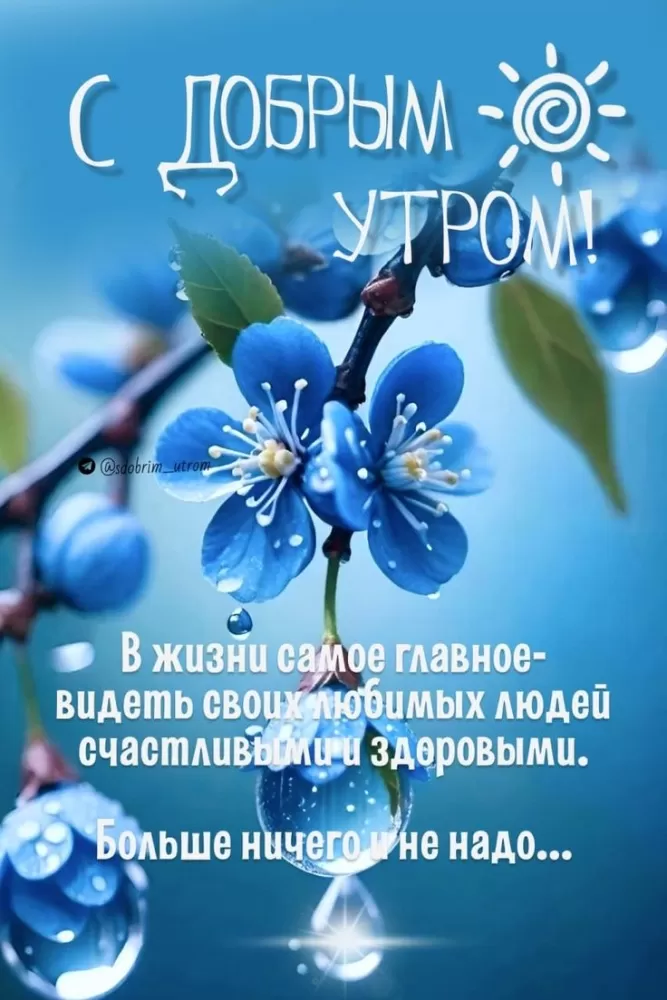 Картинки "Доброе утро" с цветами. Доброе утро - красивые картинки с цветами
