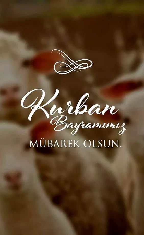 Красивые открытки с Курбан-Байрам . Красивые открытки с Курбан-Байрам
