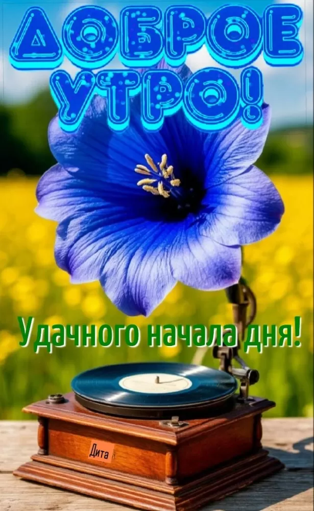 Картинки "Доброе утро" с цветами. Летние картинки Доброе утро с цветами