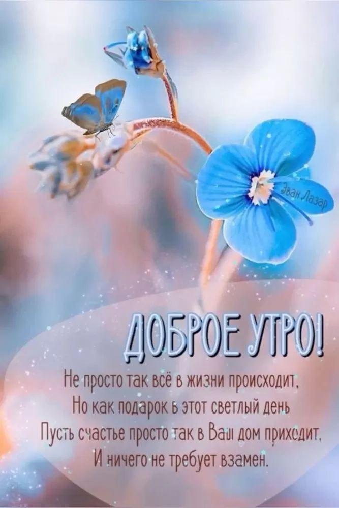 Картинки "Доброе утро" с цветами. Летние картинки Доброе утро с цветами