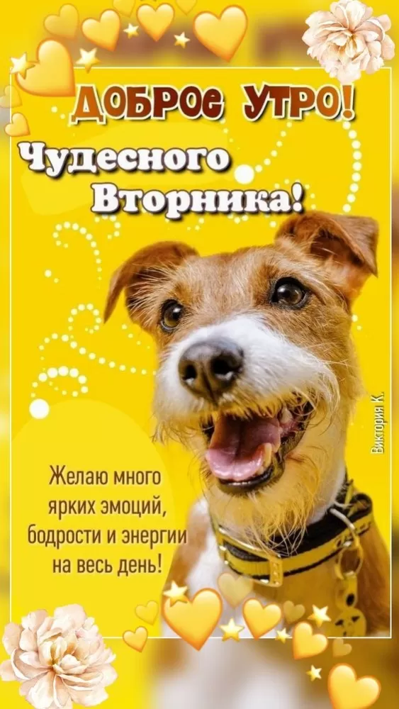 Картинки Доброе утро вторника. Картинки "Доброе утро вторника"