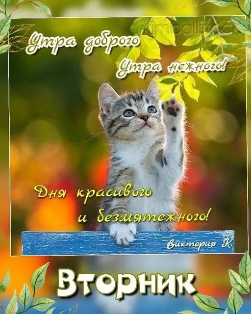 Картинки Доброе утро вторника. Красивые картинки с добрым утром вторника
