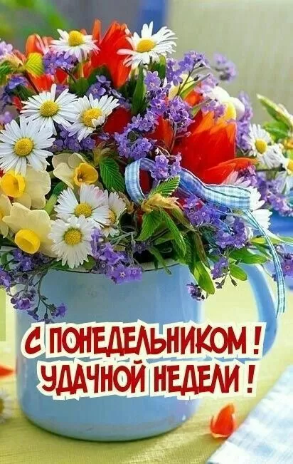 Картинки "Доброе утро понедельника"