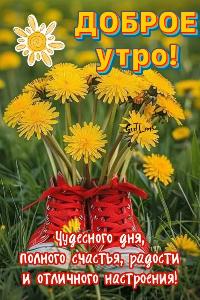 Открытки Доброе июльское утро (80 картинок). Картинки "Доброго июльского утра" позитивные