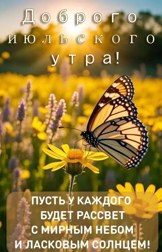 Открытки Доброе июльское утро (80 картинок). Красивые картинки Доброе июльское утро
