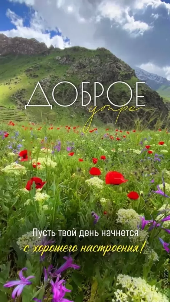 Открытки Доброе июльское утро (80 картинок). Красивые картинки Доброе июльское утро