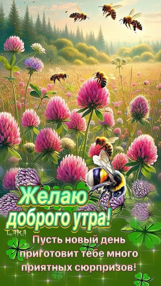 Открытки Доброе июльское утро (80 картинок). Красивые картинки Доброе июльское утро
