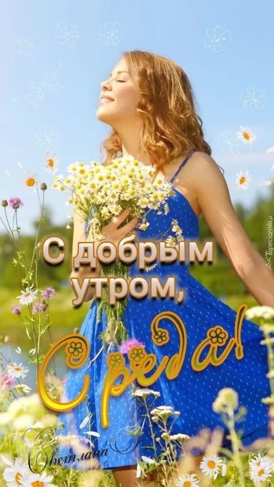 Картинки Доброе утро среды (60 открыток). Прикольные картинки Доброе утро среда