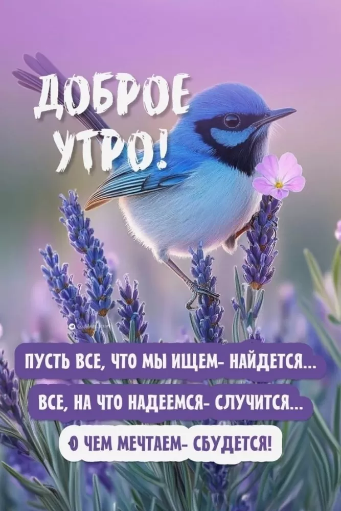 Картинки "Доброе утро" с цветами. Позитивные картинки "Доброе утро" с цветами