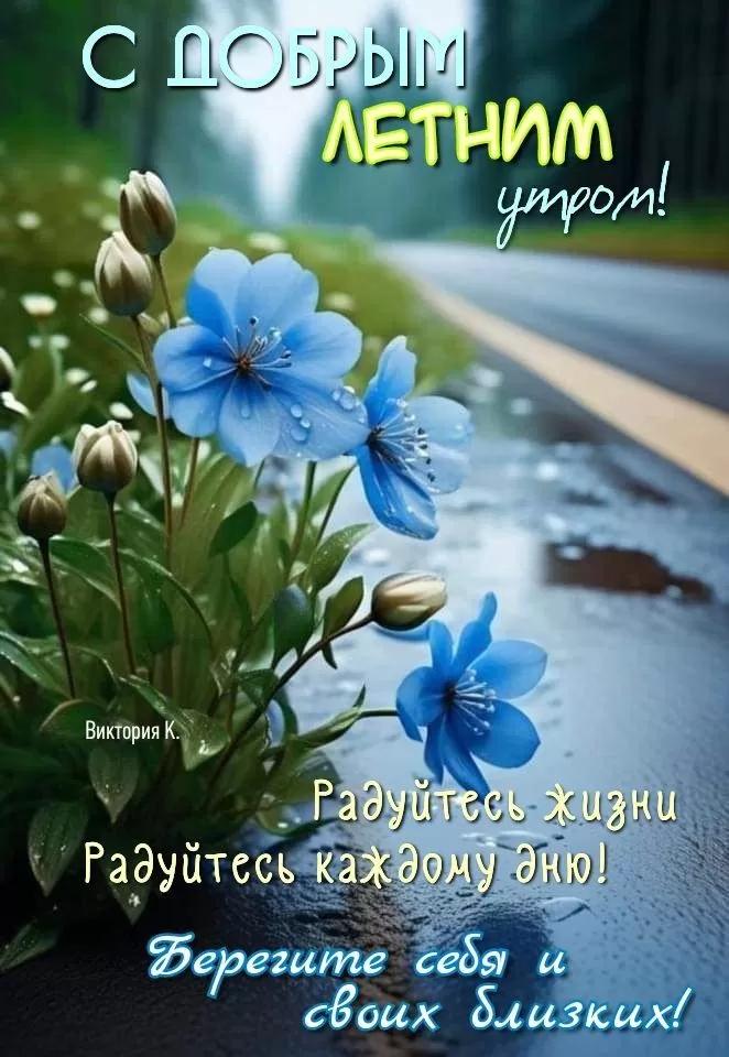 Картинки "Доброе утро" с цветами. Летние картинки Доброе утро с цветами