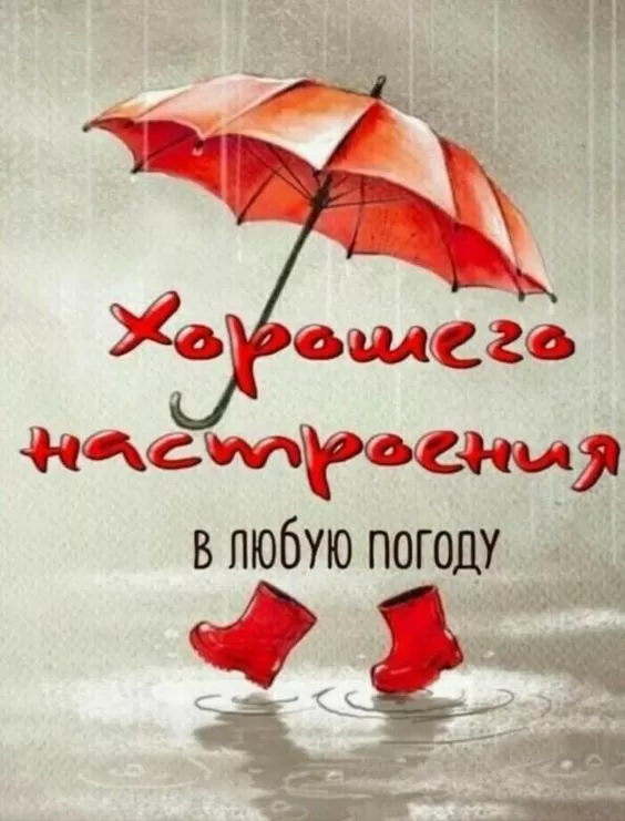 Прикольные и позитивные картинки для настроения. Прикольные и позитивные картинки