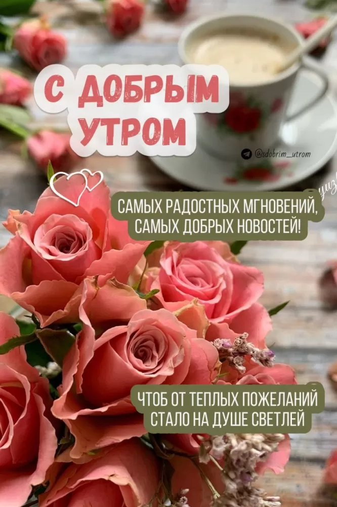 Картинки "Доброе утро" с цветами. Летние картинки Доброе утро с цветами
