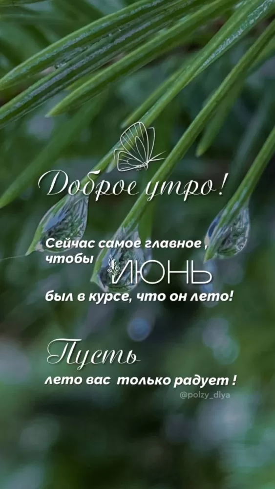 Картинки с добрым июньским утром . Картинки с добрым июньским утром 