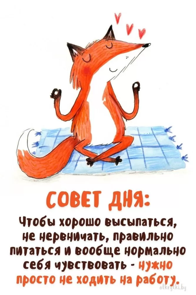 Прикольные и позитивные картинки для настроения. Прикольные и позитивные картинки