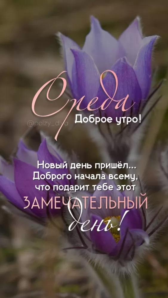 Картинки Доброе утро среды (60 открыток). Красивые картинки Доброе утро среды