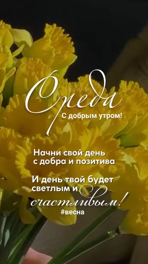 Картинки Доброе утро среды (60 открыток). Доброе утро среды - картинки с пожеланиями